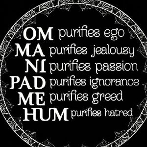 Meet your Posher, Priscilla